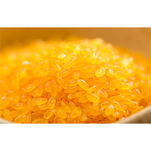 Food Machinery Market Analysis: Nutritional Rice