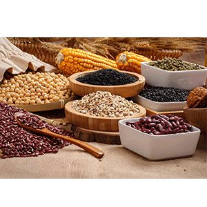 Food Machinery Market Analysis: Minor Grains