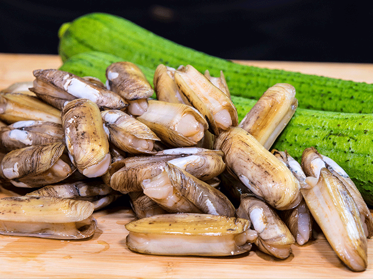 How Heat Pump Dryers Support Razor Clam Industry Development
