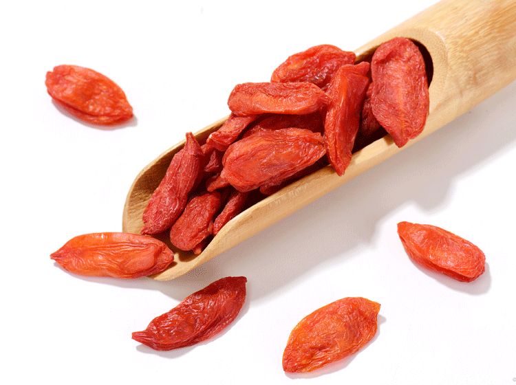 Goji Berries: A New Trend in the Food Machinery Industry