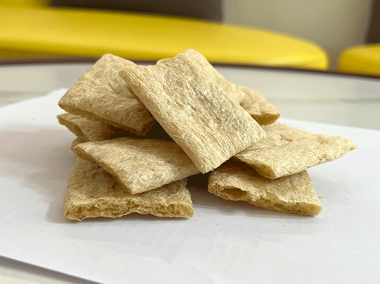 Introduction and Value of Textured Soy Protein